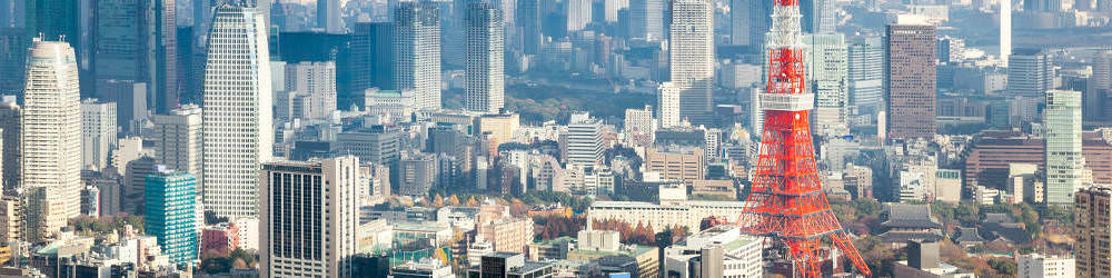 Tokyo Skyline With Tokyo Tower