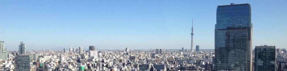 Tokyo Marunouchi Skyline