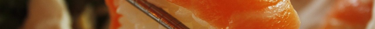 salmon-g46e4df6f0_1280